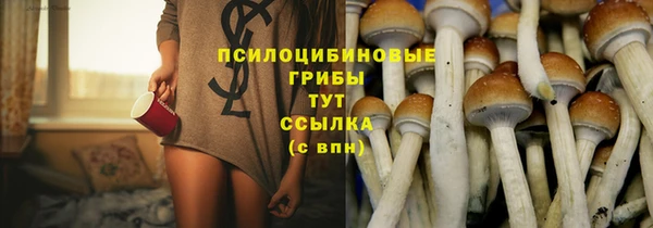 spice Алзамай