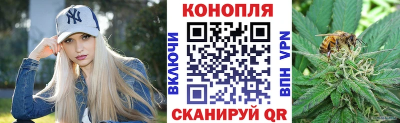 Каннабис семена  shop Telegram  Шахты  гидра tor 